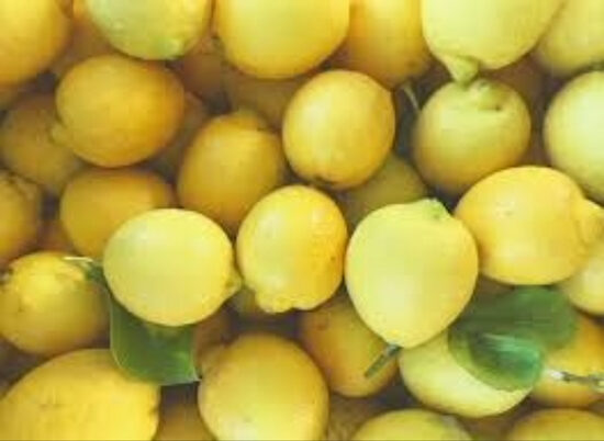 citroni 