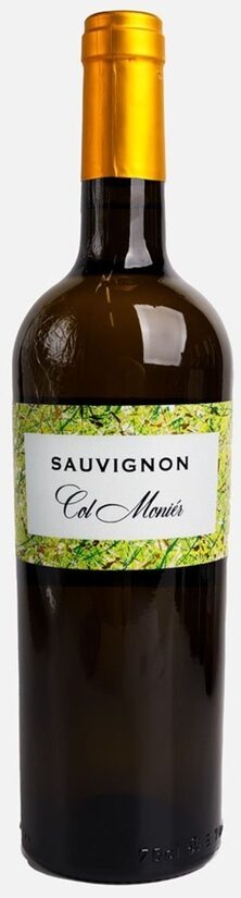 sauvignon
