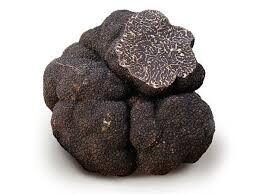 Tartufo nero di Alba
